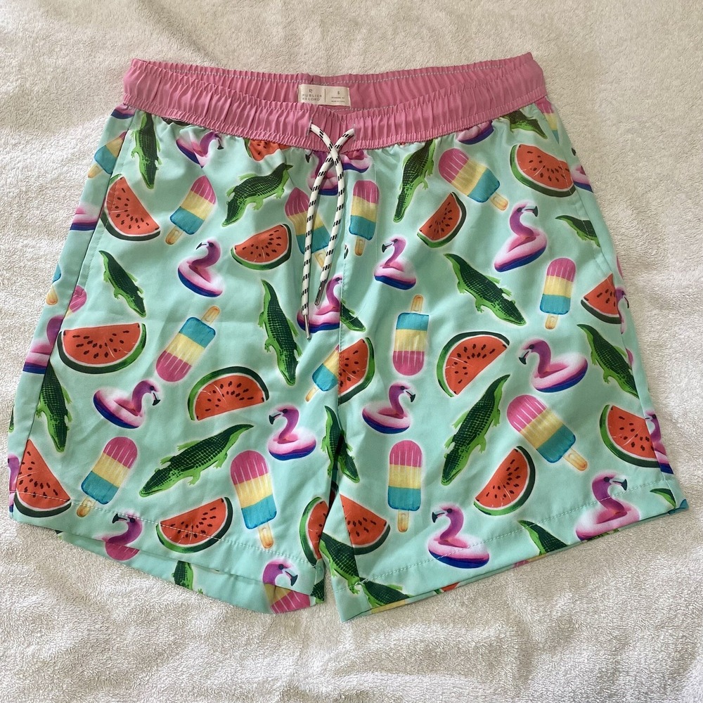 Public Record Swim Trunks Men Sz Small Mint Watermelon Resort Beach Whimsy